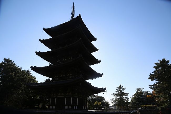 興福寺といえば、五重塔。