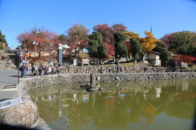 猿沢池を臨む。亀多し。