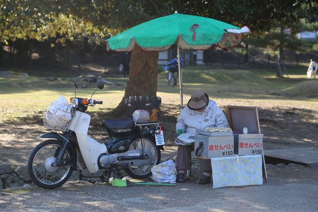 鹿せんべい。150円也。