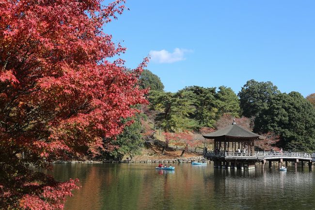 ようやく紅葉狩りの趣が。