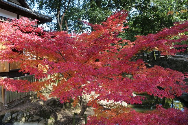 だんだん良くなってきました。