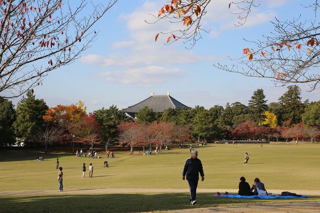 奈良公園と東大寺