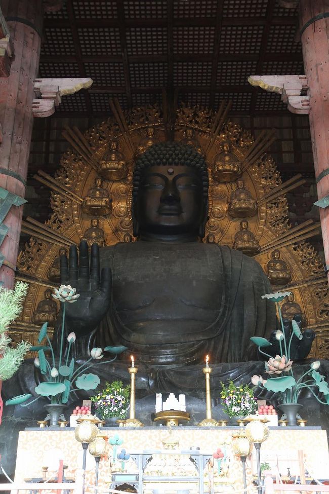 小学生時代より小さく感じました。