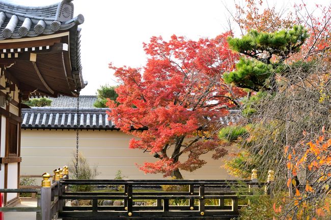 すこし　紅葉は早いかなて<br />思っていたのですが・・・<br /><br />いえいえ　とっても綺麗でした(⌒∇⌒*)