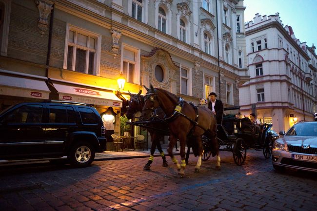 馬たちのためにも、飲まんといかんのです。