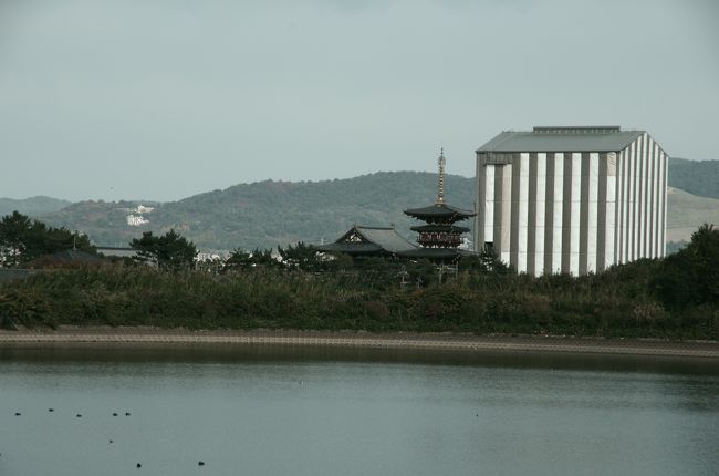 薬師寺は、いま約10年の歳月をかけて東搭を修復修理中・・