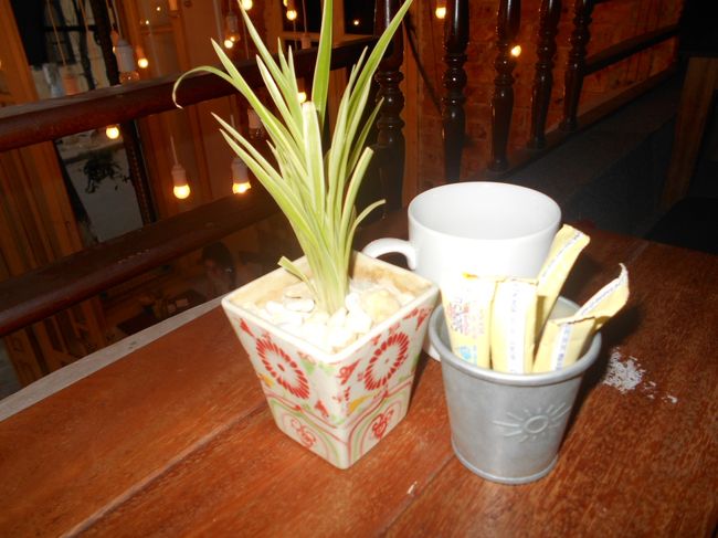 テーブルには、バチャン焼の<br />小さな鉢植えが。