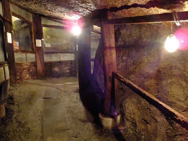 でもね…写真には写っていませんがコウモリがめっちゃいるの！！いや、地元でも夕方になるとその辺で飛んでるし珍しいものではないのですが、距離が近い！近い！<br />狭い坑道内で目の前を飛びまわられるとさすがに怖いわ!!彼らは超音波？でうまいこと避けてくれるんですけど、ちょっとビビって早々に退散。。。展示なんてろくに見てません。