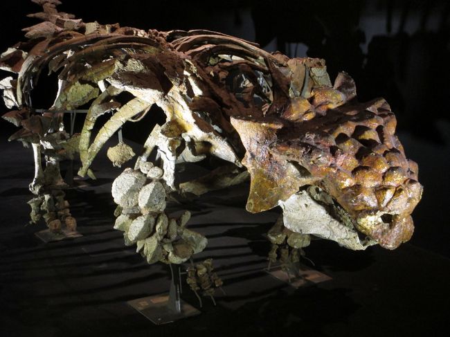 大恐竜展 ゴビ砂漠の脅威がスゴすぎる!! 【上野公園の紅葉/国立科学博物館】
