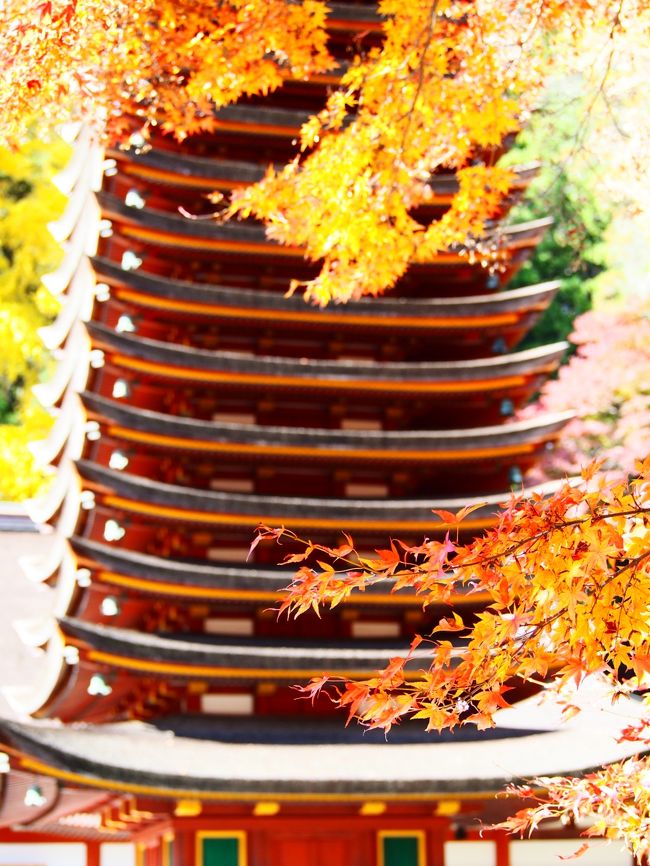 木造では世界唯一の十三重の塔。