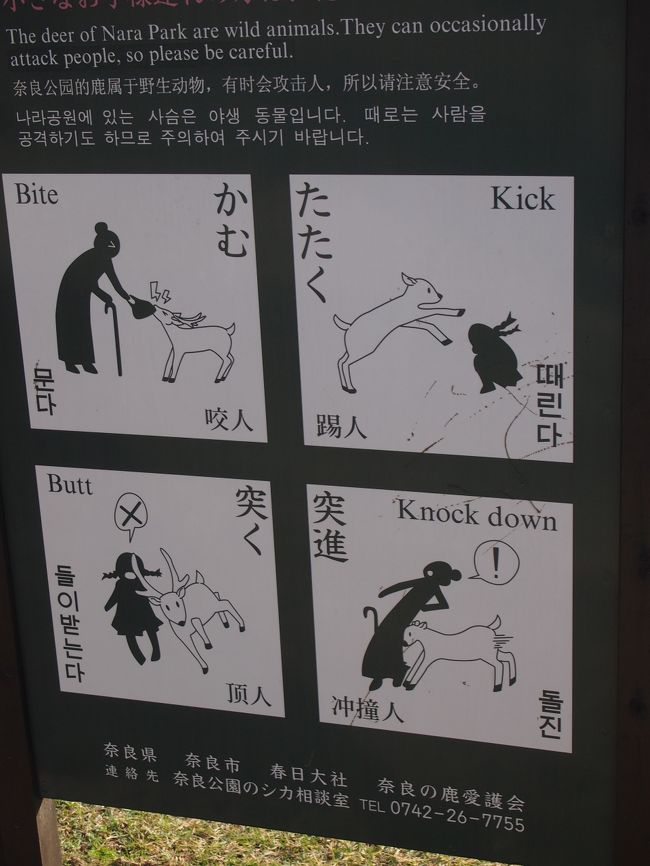 鹿さんの心得。