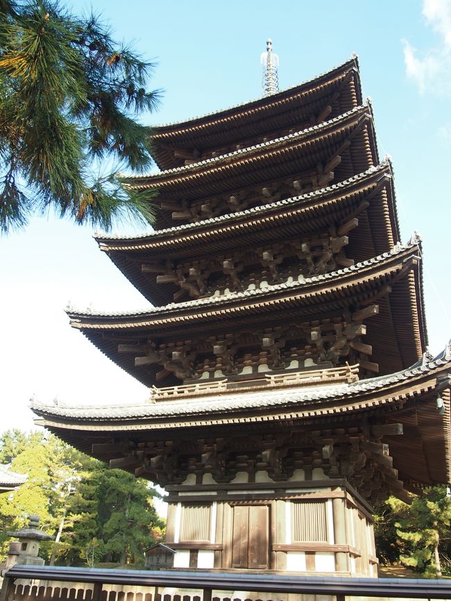 興福寺にやってきました。