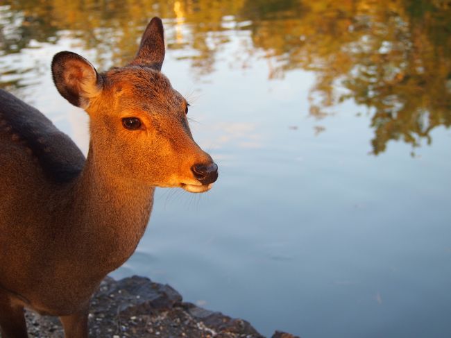 黄昏の夕暮れ時。