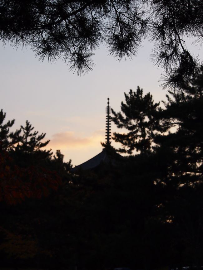 だいぶ日が落ちてきました。