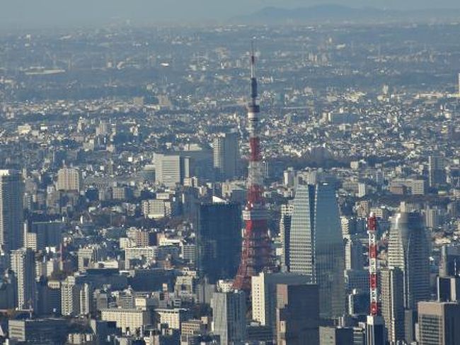 スカイツリーからの富士山 浅草 東京 の旅行記 ブログ By Takayuki132さん フォートラベル