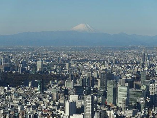 スカイツリーからの富士山 浅草 東京 の旅行記 ブログ By Takayuki132さん フォートラベル