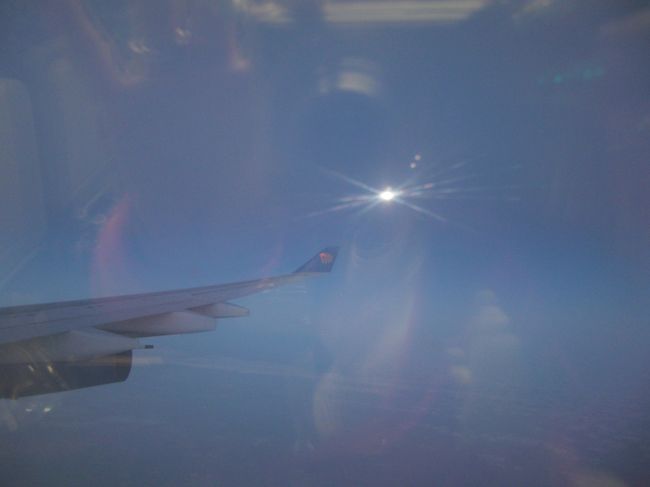 撮るよね〜（笑）<br /><br /><br />飛行機の翼