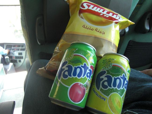 芸術にあまり興味がない我夫婦<br /><br /><br />こっそり抜け出して隣の売店？コンビニ？でお菓子とジュースを購入<br /><br /><br />どえらい甘いファンタでした・・・。