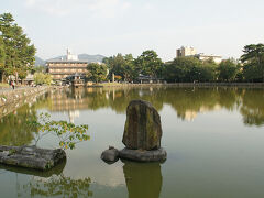 ●猿沢池

猿沢池は、794年に造られた人工の池です。
非常に有名な池で、市民の憩いの場にもなっているようです。