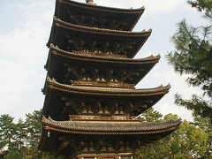 ●五重搭＠興福寺

猿沢池隣の階段を上がると、興福寺の敷地に入りました。
2010年、興福寺は、創建1300年を迎えられたようです。
歴史のケタが違いますね。
素晴らしいです！

興福寺HP
http://www.kohfukuji.com/