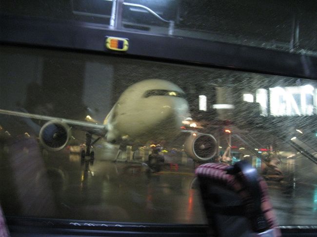 こんな近くに飛行機が！！(*ﾟ▽ﾟ*)