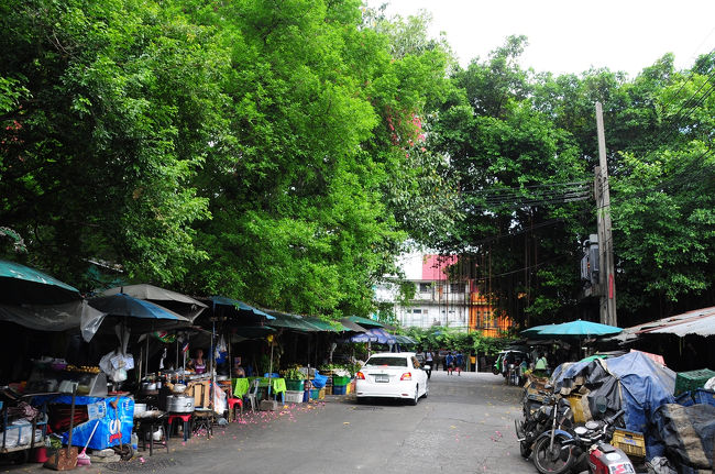 木陰には屋台が並んでいました。<br /><br />が、こっちじゃなさそう？？