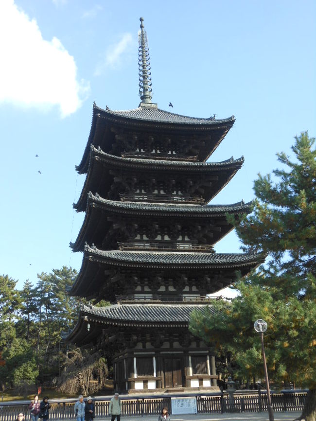 興福寺・五重塔　国宝　高さ５０m<br /><br />江戸時代以前の高さでは「東寺」の５５m １位<br />　　　　　　　　　　「興福寺」　５０m２位<br />　　　　　　　　　　「醍醐寺」　３８m３位<br />　<br />　　　　　　　　　　<br />　