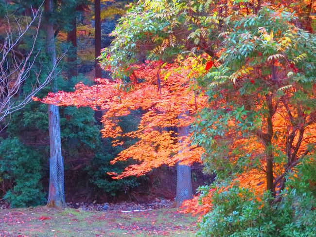 此処で３０分休憩する