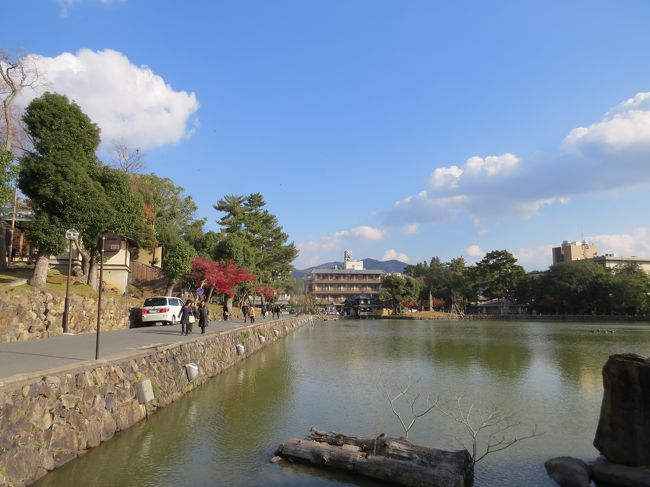 猿沢の池<br />もう、歩けない　４５分休憩<br />近鉄奈良駅に向かいます、帰ります