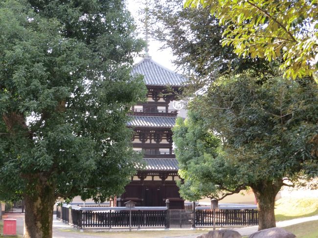 興福寺・三重塔<br /><br />三条通りからの階段登るの「辛いです」
