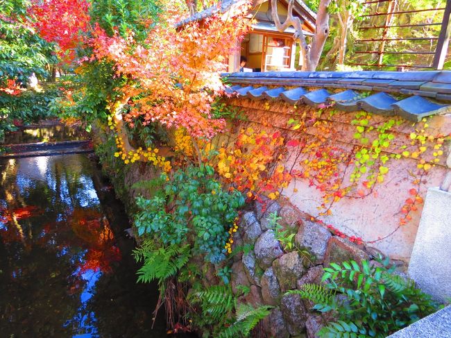 場所は何処だったか思い出しません<br /><br />東大寺・大仏殿から二月堂と周り「膝が悲鳴を」？<br /><br />痛む膝、少し歩き過ぎた様です<br /><br />これで終わりです、<br /><br />最後まで御付き合い　だんだん<br /><br />本日の歩行距離　　１３３３５m<br />　　　歩行数　　　２２２２５歩<br />　　　時間　　　　　　９時間少々
