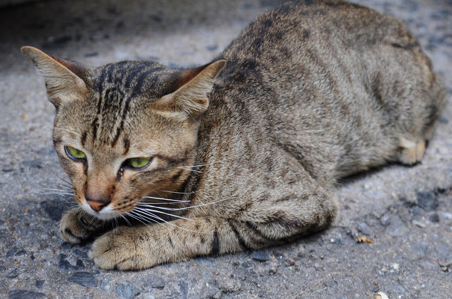 一生懸命目を開けようとしている姿が超キュート★