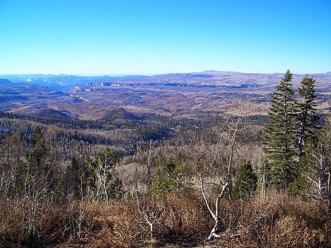 他の社員たちはグランドキャニオンなどに行っていたけども私たちは違うところへ。。。。
