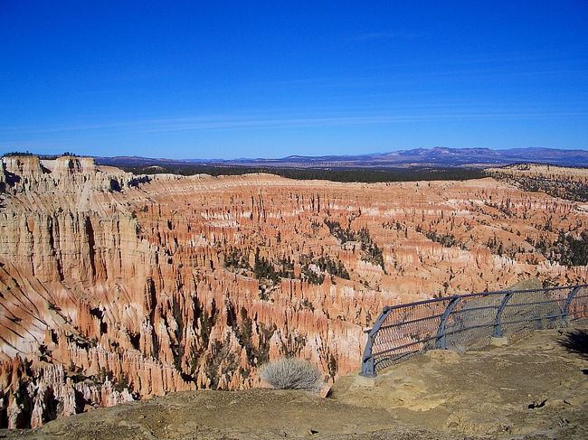 野草とブライスキャニオン