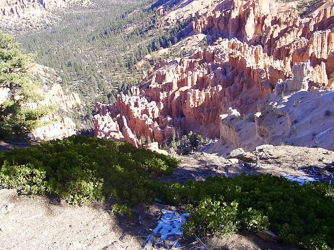 崖の下はブライスキャニオン<br /><br /><br />落ちたら剣山みたいに刺さりそう。。。。