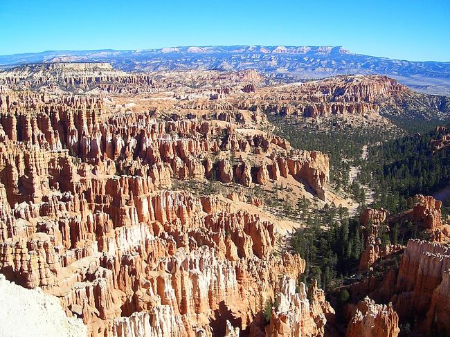 もうちょっと上まで登って見下ろしたブライスキャニオン