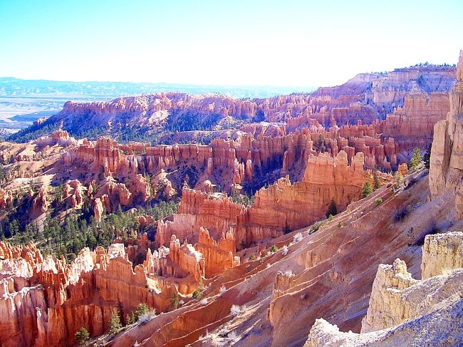 横から見るとこんな感じ