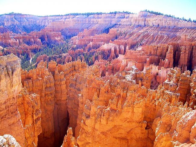 あっ。寒さや標高が富士山の５合目あたりらへんやから空気の薄さに気を失いかけたのかも・・・笑