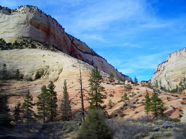 自然ってホント素晴らしい！！