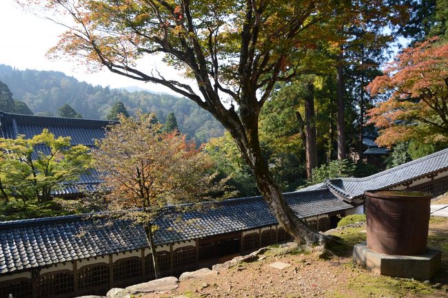 法堂の前からの眺め。伽藍の中で一番高い位置になり、皆さん腰掛けてここからの景色を楽しんでました。