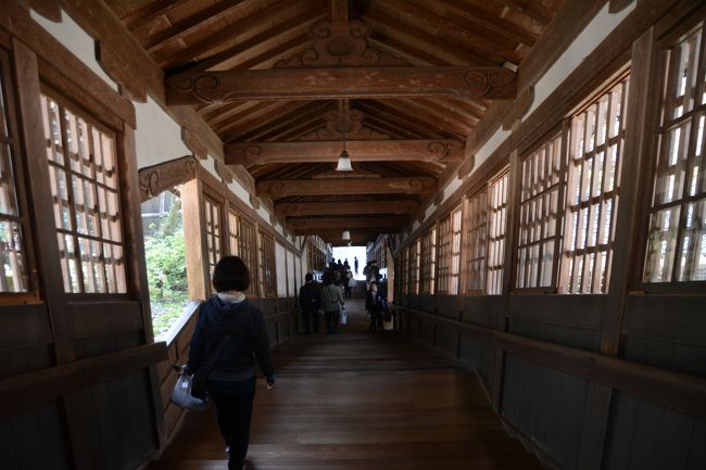 登ったら下る。で下り階段