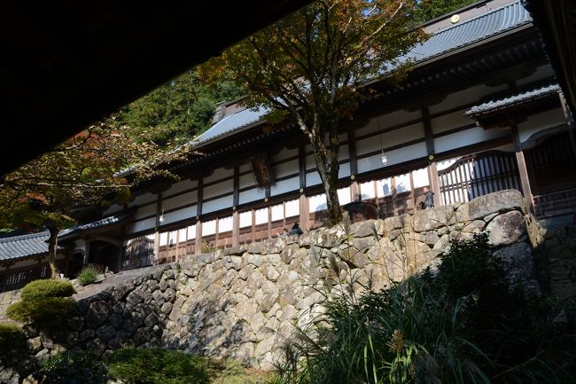 下りの途中、法堂を見上げます