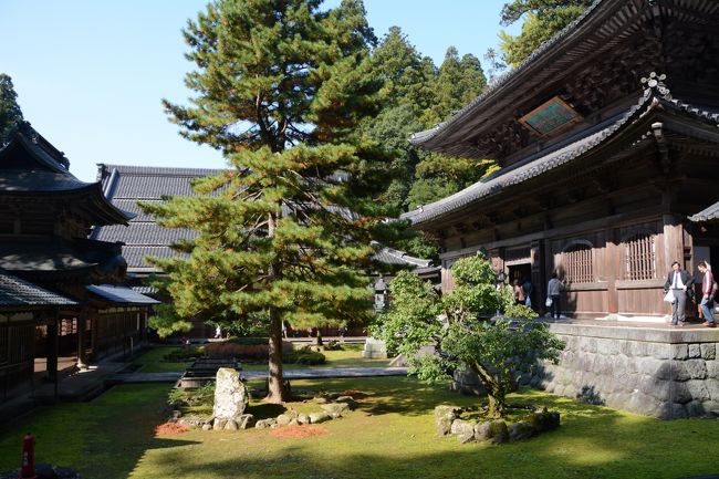 仏殿前の中庭の様子です。伽藍内部を修行僧が黒い袈裟を着て縦列で歩いているところを何度か見かけました。大変美しい光景で写真が撮れればいいのにと思ってしまう。日本人の私でさえそう思うのだから外人さんはもっと僧感じるのではないでしょうか。でも、修行の妨げ、プライバシーの保護を考えれば仕方ないですね