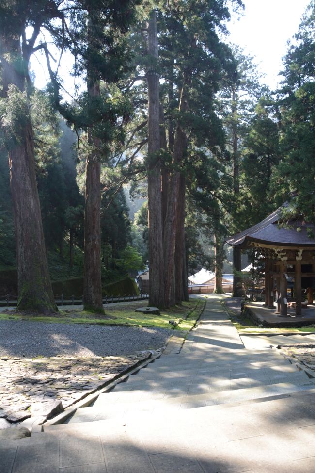 山門から見た参道です。ここからの出入りは確か修行僧希望者が入門を願い出てかなったときだけしか入ることは出来なかった覚えがあります。高校生の時の一日参禅の掃除の時間この辺受け持った記憶が・・・