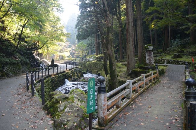 11:10頃永平寺のパンフにある寂光苑に向かってみます。