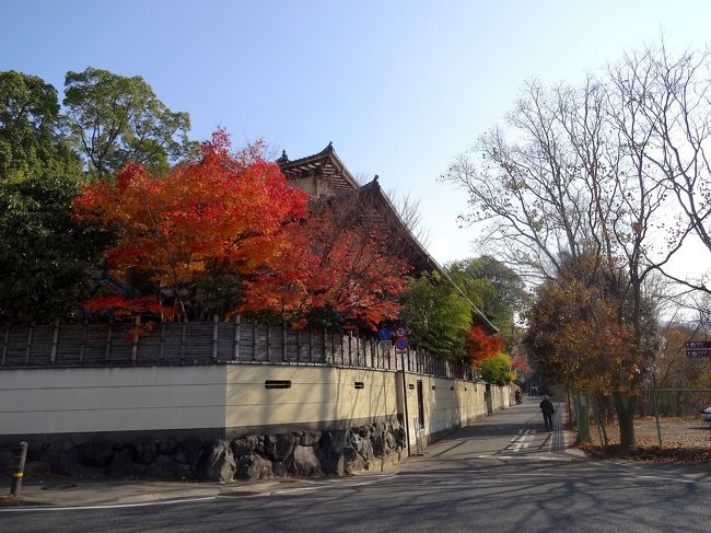 四季亭さんの囲い塀と紅葉。<br /><br />流石に奈良の街並は違うな〜♪