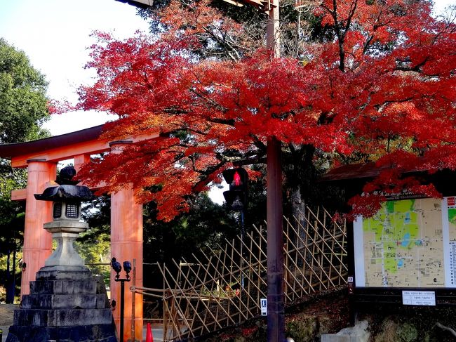 四季亭さんの角を北に向かうと鳥居があります。<br /><br />グルッと廻って興福寺の五重塔へ。