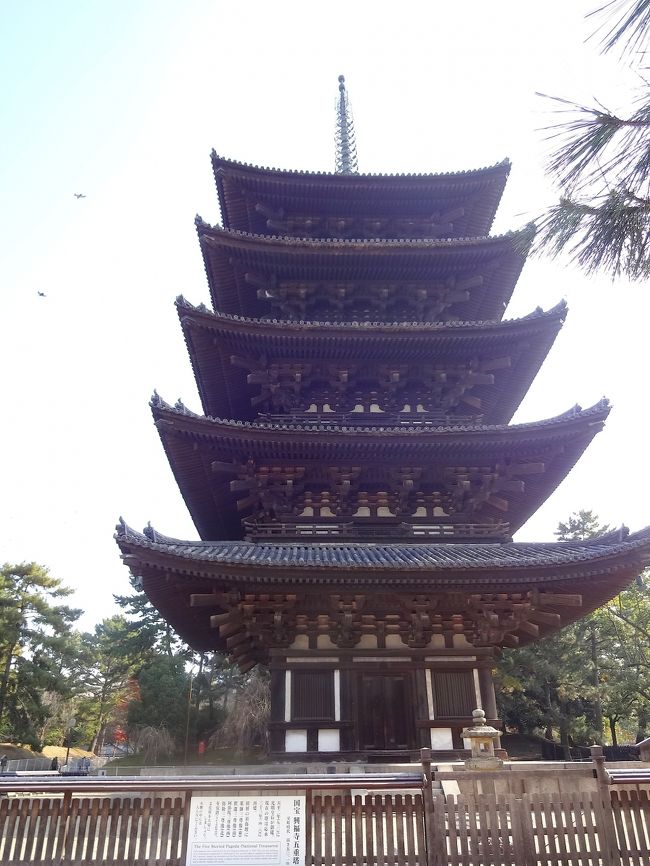 奈良に来てる〜！<br />そんな感じで廻ります。<br /><br />「興福寺の五重塔」。
