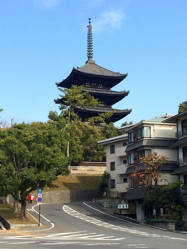 集合時間まで後３０分。<br /><br />早かったんですが、集合場所の猿池南側に行くことにします。