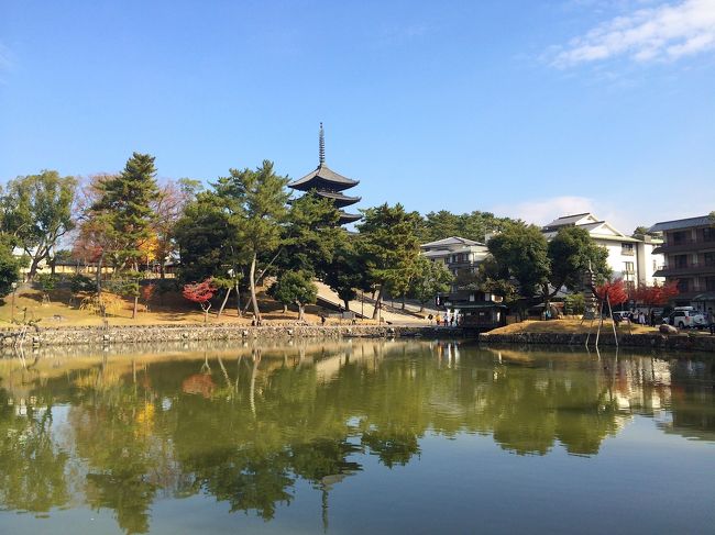 猿池南側ってこの辺か！？<br />ベンチが並ぶ場所があったので、そこで待つことにしました。<br /><br />まだ誰も来ていないのか？<br />既にお越しなのかが分からない？